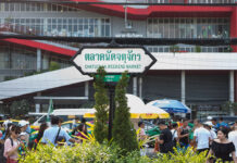 Bangkok weekend and flea markets reopen under safety guidelines