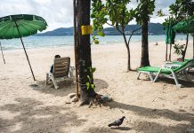 Tourism Enjoys Strong Start To 2022 While Facing New Uncertainties: UNWTO