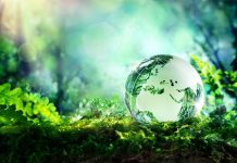 Sustainability For The Future