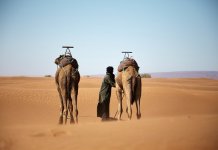 Saudi Tourism Launches ‘This Land is Calling’ Campaign – a compelling invitation to discover the Heart of Arabia