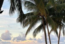 Jamaica’s Tourism Sector Sets Sights on Growth in India and APAC Region