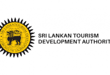 Sri Lanka Welcomes Over 1.5 Million Tourists in 2024, India Leads as Major Source Market
