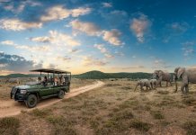 South African Tourism considers India its leading APAC market for international arrivals