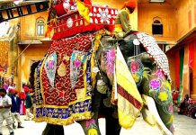 14th Great Indian Travel Bazaar to Boost Inbound Tourism from 50+ Countries