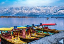 Kashmir Marathon 2025 to Boost Tourism with Scenic Runs & Cultural Festivities